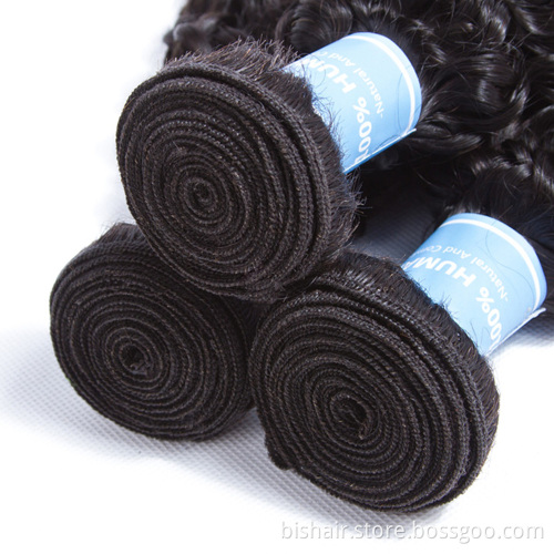 BIS kinky curly wave bundles the length 8-30 inch remy hair bundles raw virgin human free sample Brazilian cuticle aligned hair
